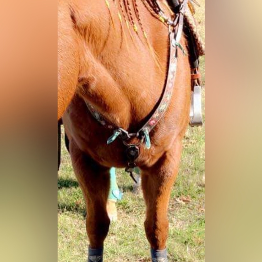 Leather breastcollar for horses